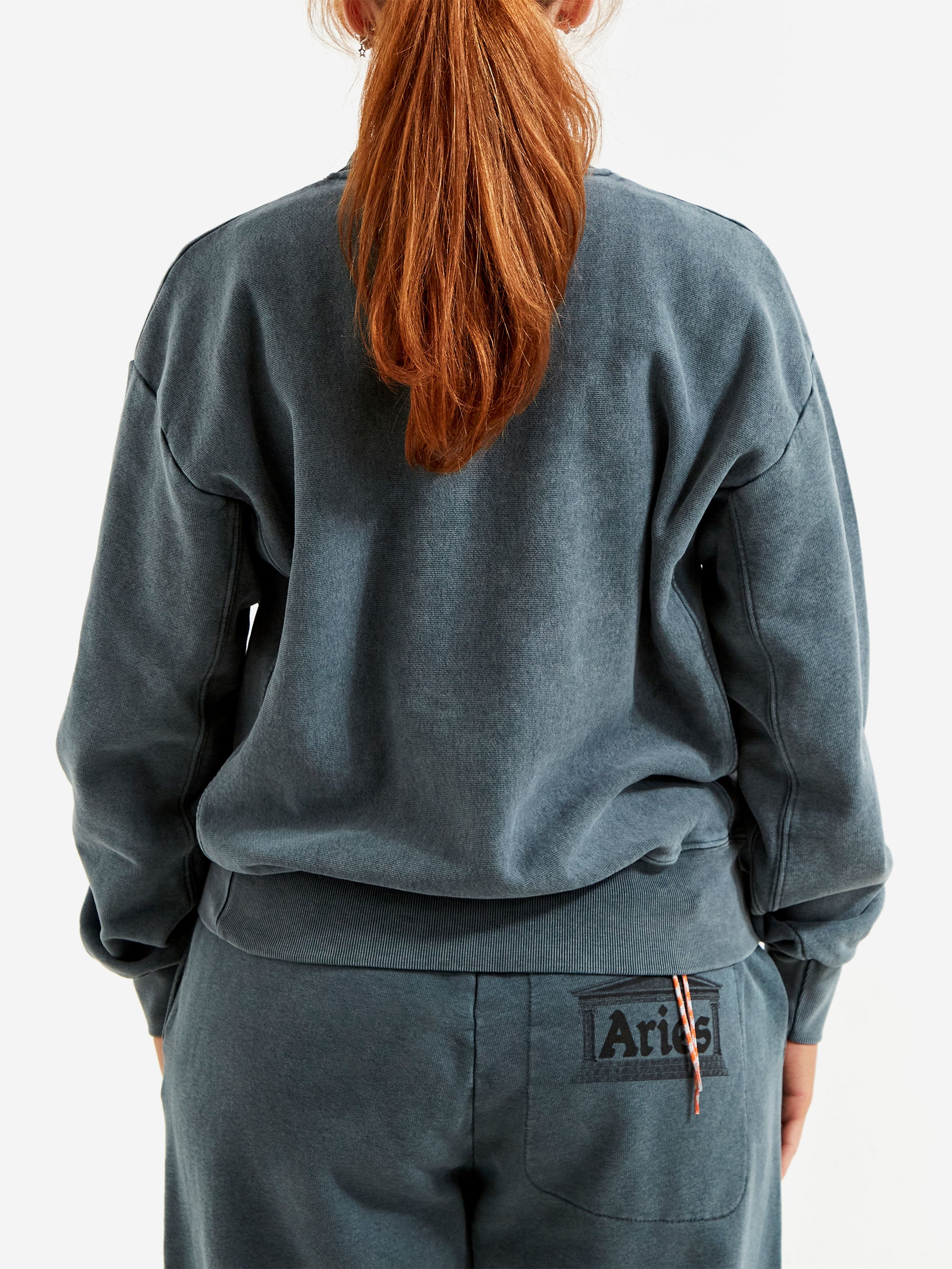 aries-premium-aged-temple-