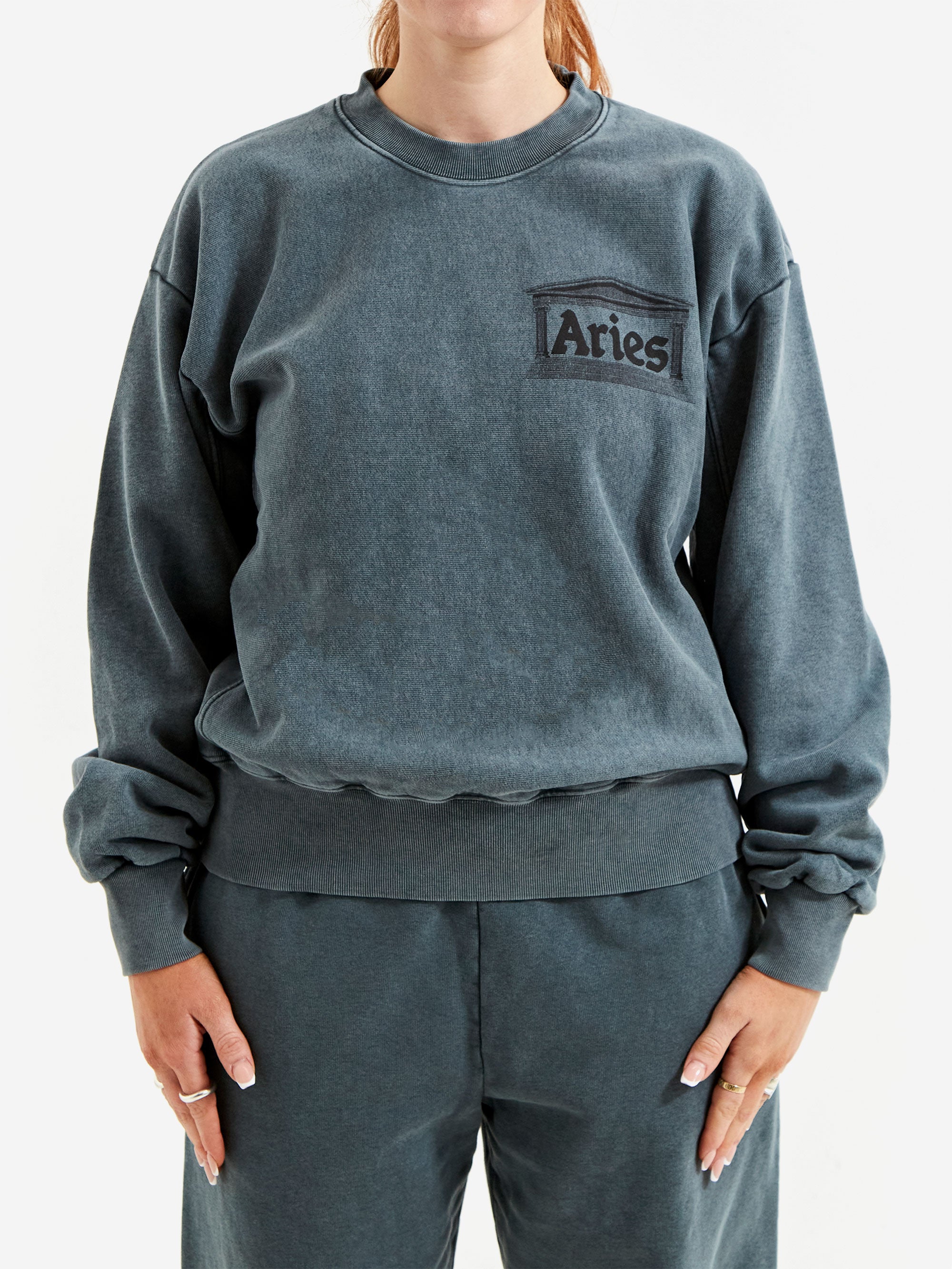 Aries Premium Aged Temple Sweatshirt W Dark Green – Goodhood