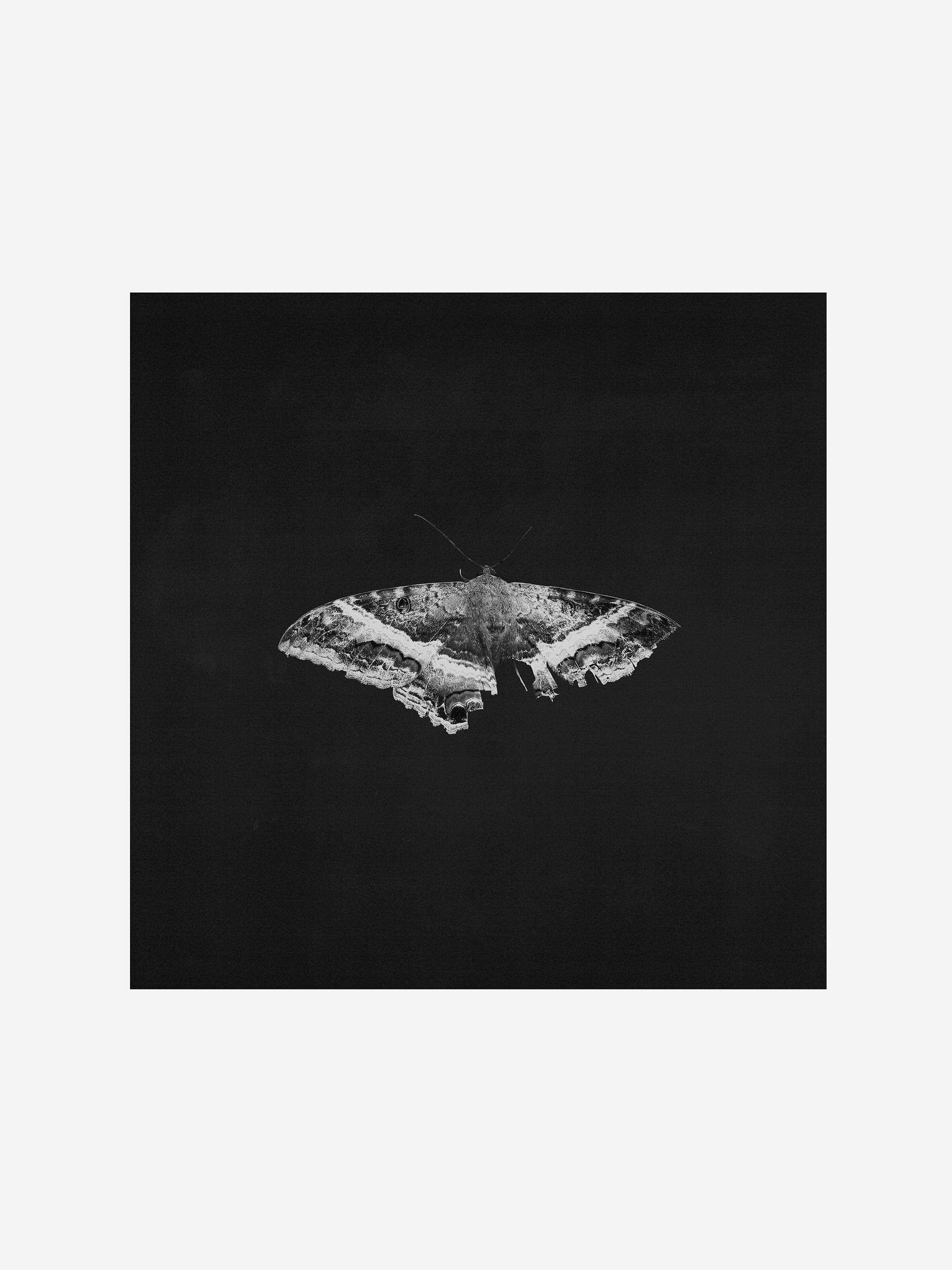 Kendrick Lamar – To Pimp a Butterfly (10 Year Anniversary Edition